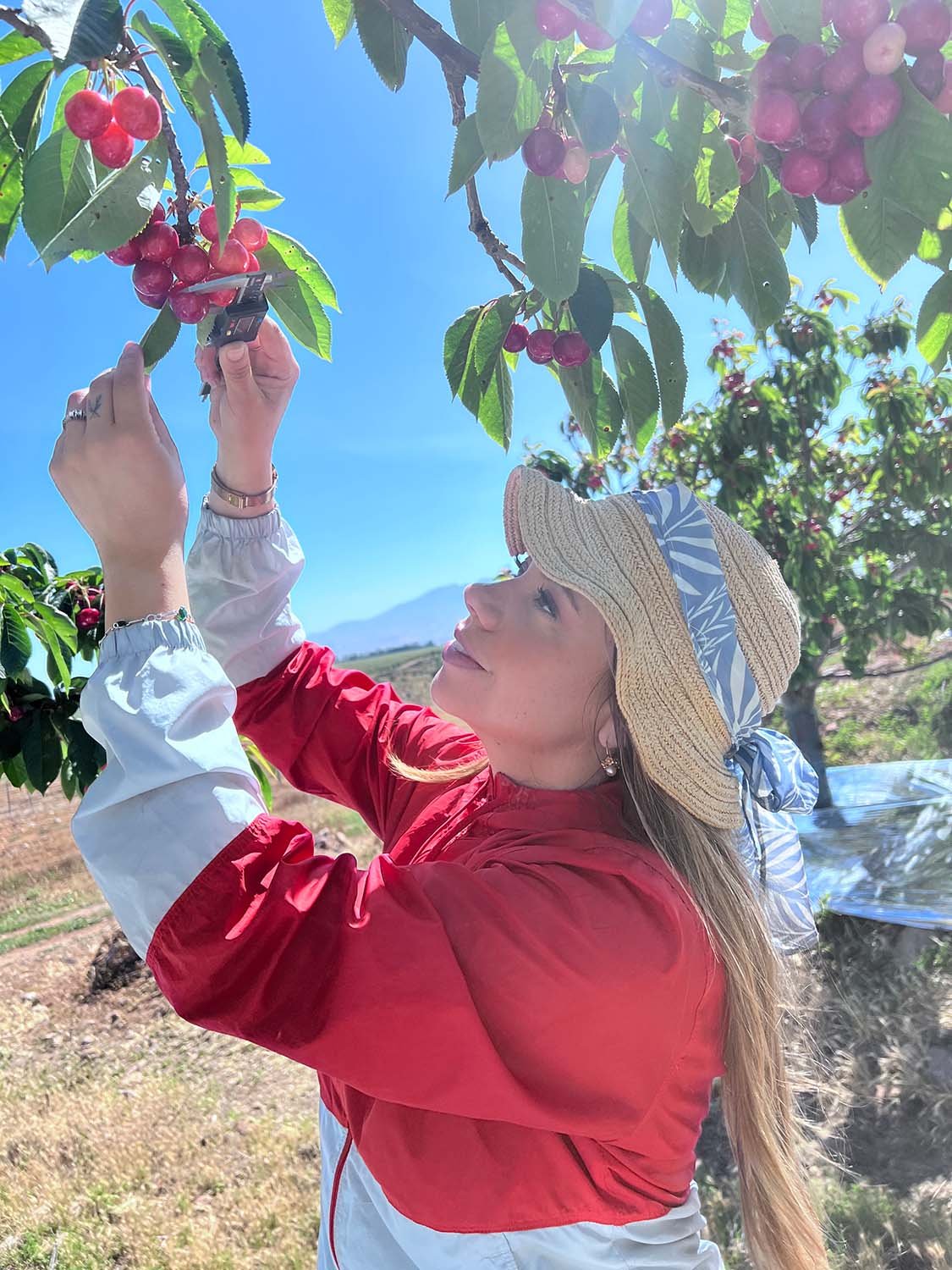 Equipo de Terranalytica analizando datos agrícolas